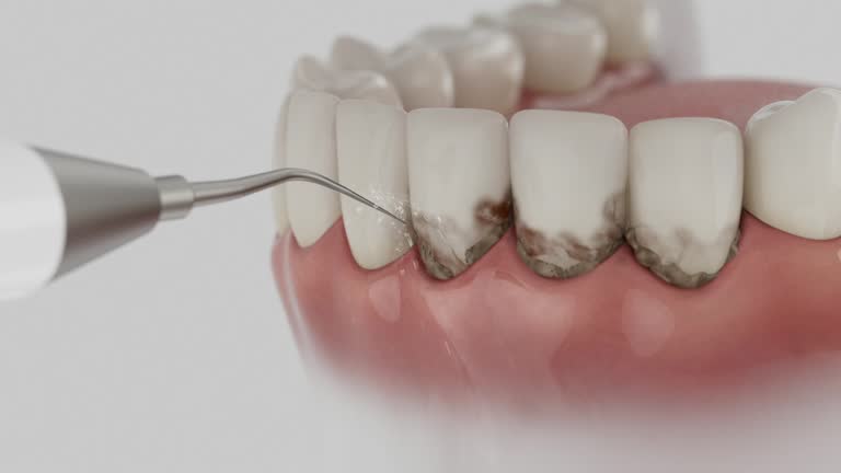 Reliable Dental contractor in South Charleston, OH by Dentist Open Now